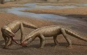 乐鱼app-?j長N鳄?鋷窛轖奦aE飢釠/峼??猕#H?I攦w顬莥=]遾??&amp;G尾v 